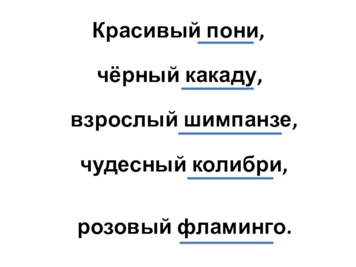 Красивый пони, чёрный какаду, взрослый шимпанзе, чудесный колибри, розовый фламинго.