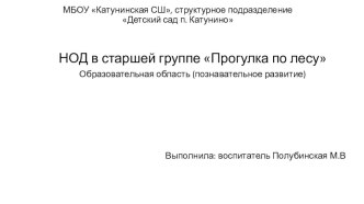 Презентация Прогулка в лес презентация к уроку по окружающему миру (старшая группа)