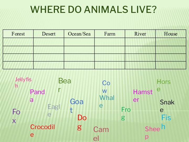 Where do animals live?DogFishSnakeFoxBearCamelHamsterWhaleHorseCrocodileEagleJellyfishGoatSheepCowPandaFrog