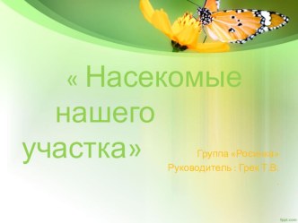 Насекомые нашего участка презентация к уроку по окружающему миру (младшая группа)