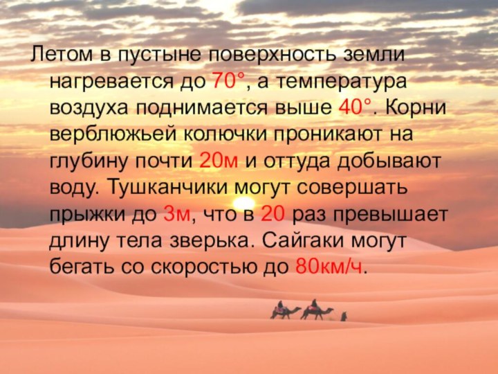 Летом в пустыне поверхность земли нагревается до 70°, а температура воздуха поднимается