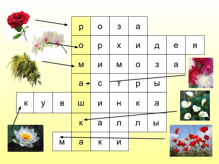 роозмкакшамредхиаазомияиыллаыртвакнкуси