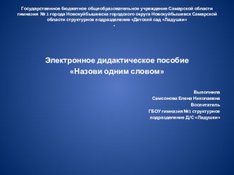 Электронное дидактическое пособие Назови одним словом методическая разработка по развитию речи (младшая группа)