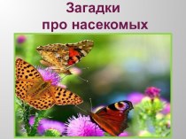 Загадки про насекомых презентация к уроку по окружающему миру (младшая, средняя, старшая, подготовительная группа)