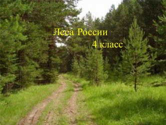 Презентация по окружающему миру Леса России презентация к уроку по окружающему миру (4 класс)