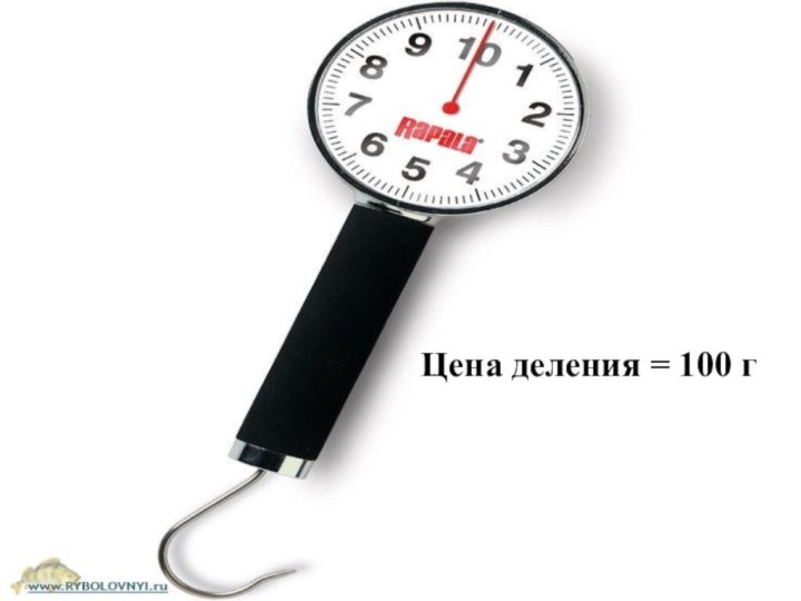 Цена деления = 100 г