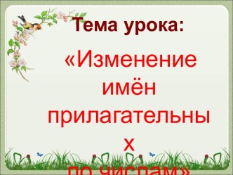 Презентация к уроку русского языка по теме: Изменение имён прилагательных по числам план-конспект урока по русскому языку (3 класс)