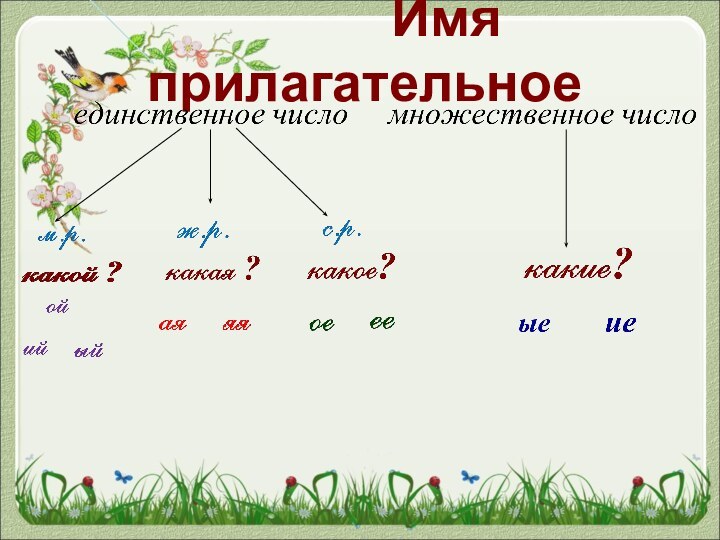 Имя прилагательное