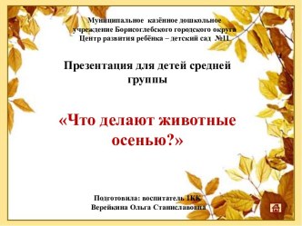 Презентация Что делают животные осенью презентация к уроку по окружающему миру (старшая группа)