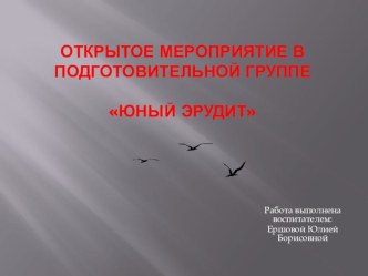 Юный эрудит методическая разработка по математике (подготовительная группа)