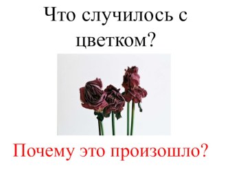 Вода на Земле. 3 класс план-конспект урока (окружающий мир, 3 класс) по теме