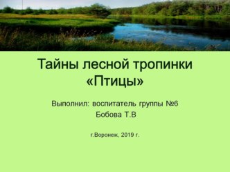 Тайны лесной тропинки Птицы презентация к уроку (подготовительная группа)