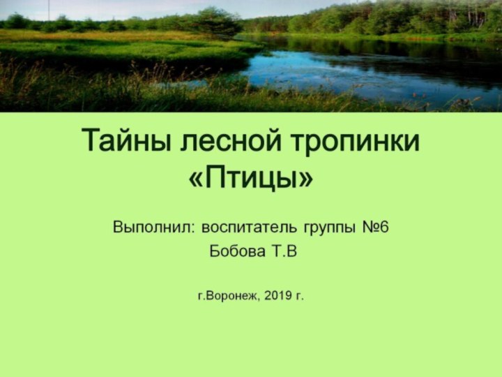 Тайны лесной тропинки «Птицы»