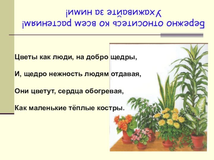 Цветы как люди, на добро щедры,И, щедро нежность людям отдавая,Они цветут, сердца