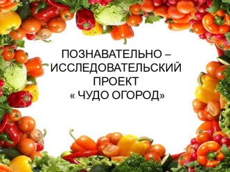 Презентация к познавательно - исследовательскому проекту  Чудо - огород презентация по окружающему миру