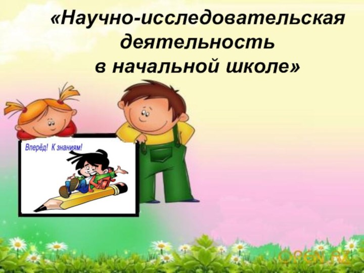 «Научно-исследовательская деятельность  в начальной школе»