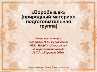 Конструирование из природного материала в подготовительной группе детского сада Грибы и воробей. презентация к уроку по аппликации, лепке (подготовительная группа)