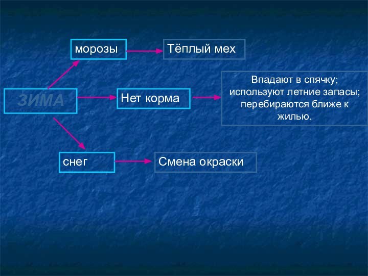 морозыНет кормаснегЗИМАТёплый мехВпадают в спячку; используют летние запасы; перебираются ближе к жилью.Смена окраски