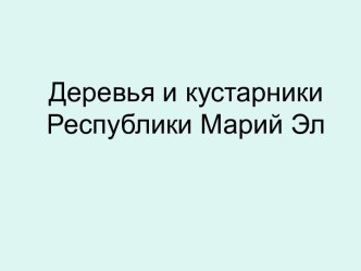 Деревья и кустарники Республики Марий Эл презентация к уроку по окружающему миру (старшая группа)