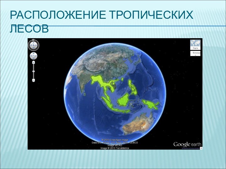 РАСПОЛОЖЕНИЕ ТРОПИЧЕСКИХ ЛЕСОВ