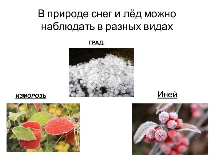 В природе снег и лёд можно наблюдать в разных видах ГРАД.ИЗМОРОЗЬИней