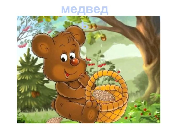 медведь