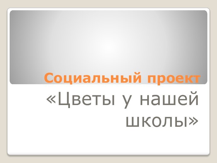 Социальный проект«Цветы у нашей школы»