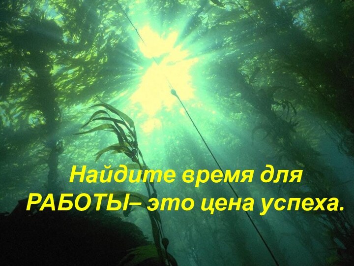 Найдите время для РАБОТЫ– это цена успеха.