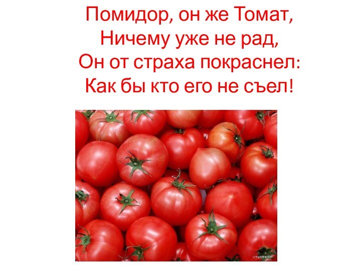 Помидор, он же Томат, Ничему уже не рад, Он от страха покраснел: