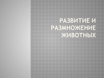 Развитие и размножение животных презентация к уроку по окружающему миру (3 класс)