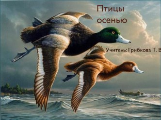 Птицы осенью презентация урока для интерактивной доски по окружающему миру (1 класс) по теме