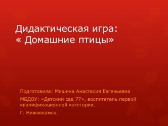 Презентация: Домашние птицы презентация к уроку по развитию речи (младшая группа)