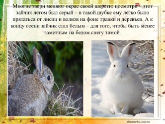 Презентация Время года Осень презентация к занятию (окружающий мир, старшая группа) по теме