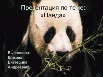 презентация по теме Панда презентация к занятию (старшая группа) по теме