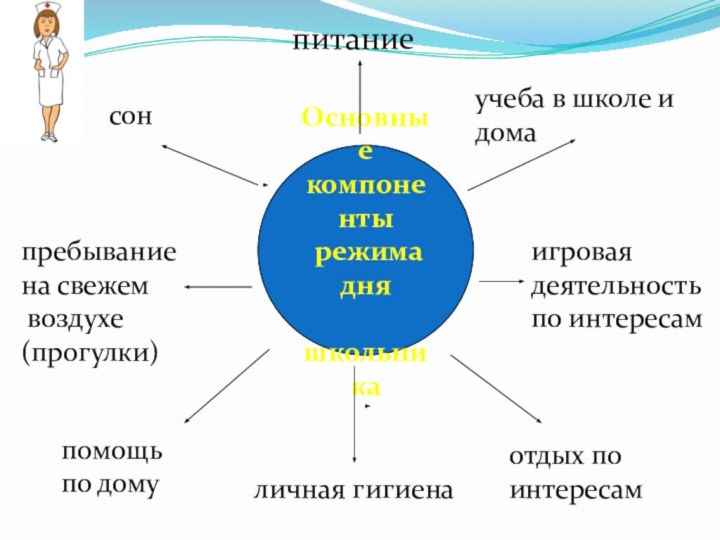 Основные компоненты режима дня школьника    сонпребывание на свежем воздухе