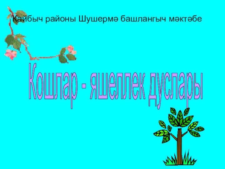 Кошлар - яшеллек дусларыКайбыч районы Шушермә башлангыч мәктәбе