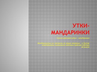 Утки-мандаринки презентация к уроку по окружающему миру (3 класс) по теме