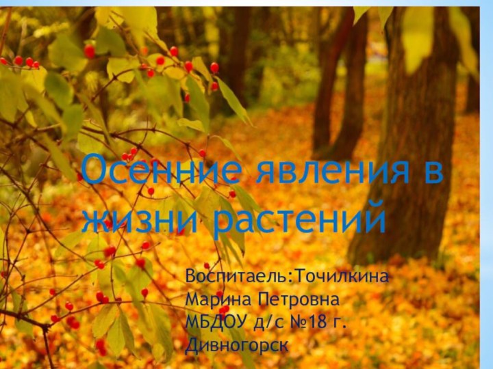 Осенние явления в жизни растенийВоспитаель:Точилкина Марина ПетровнаМБДОУ д/с №18 г.Дивногорск