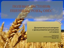 Урок развития речи в 4 классе Полевые растения: пшеница, рожь, овес. план-конспект урока по окружающему миру (4 класс)