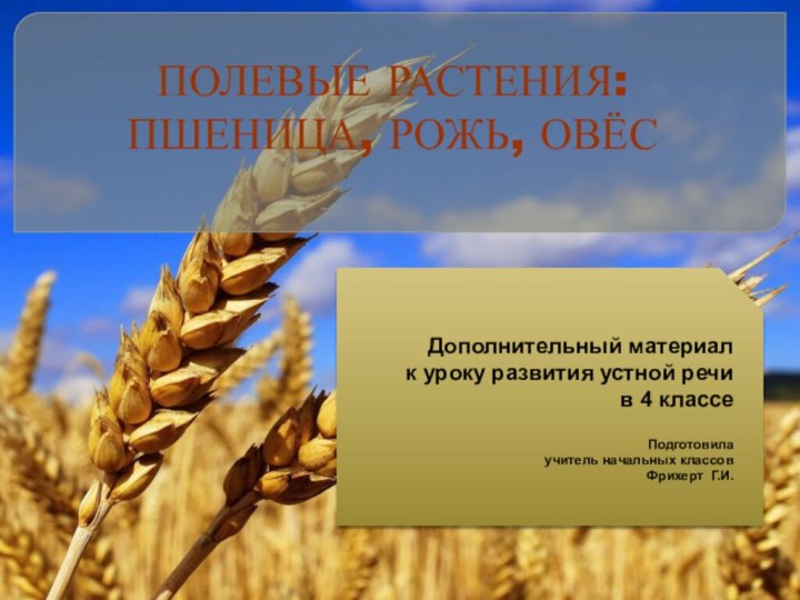 ПОЛЕВЫЕ РАСТЕНИЯ: ПШЕНИЦА, РОЖЬ, ОВЁСДополнительный материал к уроку развития устной речи в