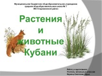 Растения и животные Кубани - урок в 3 классе с ЭОР план-конспект урока (3 класс) по теме