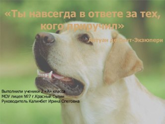 Исследовательский проект Ты навсегда в ответе за тех, кого приручил. презентация к уроку по окружающему миру (2 класс)