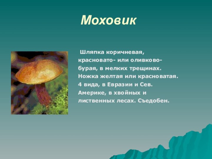 Моховик Шляпка коричневая, красновато- или оливково-бурая, в мелких трещинах. Ножка желтая или