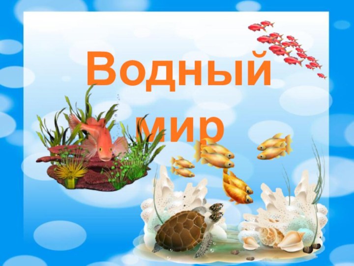 Водный мир