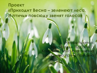 Приходит Весна – зеленеют леса, И птичьи повсюду звенят голоса презентация к уроку по окружающему миру (младшая группа)