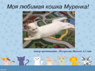 Кошка Мурка презентация