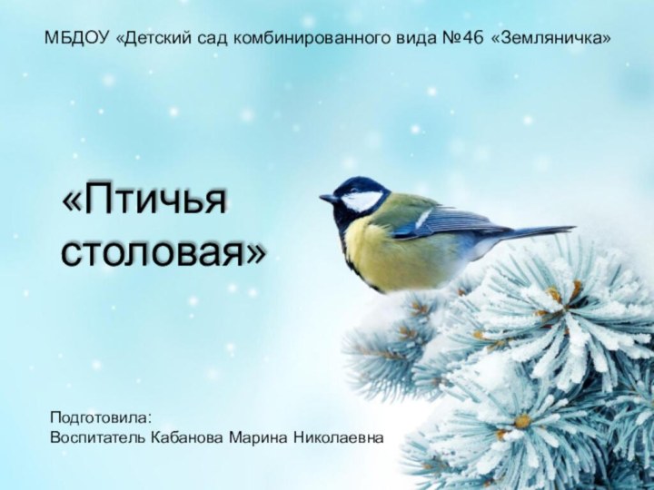 МБДОУ «Детский сад комбинированного вида №46 «Земляничка»«Птичьястоловая»Подготовила:Воспитатель Кабанова Марина Николаевна