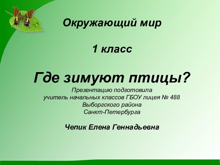 Окружающий мир1 класс Где зимуют птицы?Презентацию подготовила учитель начальных классов ГБОУ лицея