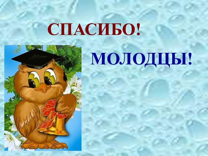 СПАСИБО!    МОЛОДЦЫ!