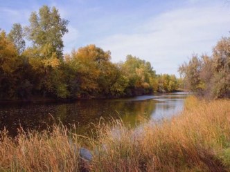 Открытый урок по предмету чтение Собака и волк план-конспект урока по чтению (3 класс)